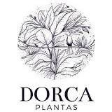 Dorca Plantas